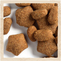 Dog Chow (Дог Чау) Adult Sensitive - Сухий корм з лососем і рисом для собак (2,5 кг) в E-ZOO фото №8 Dog Chow (Дог Чау) Adult Sensitive - Сухий корм з лососем і рисом для собак (2,5 кг) в E-ZOO