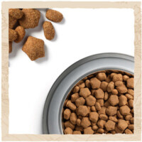 Dog Chow (Дог Чау) Adult Sensitive - Сухий корм з лососем і рисом для собак (2,5 кг) в E-ZOO фото №9 Dog Chow (Дог Чау) Adult Sensitive - Сухий корм з лососем і рисом для собак (2,5 кг) в E-ZOO