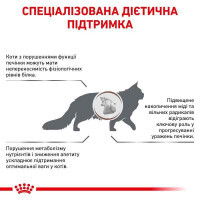 Royal Canin Hepatic HF26 Feline - Сухий корм для котів при захворюваннях печінки (2 кг) в E-ZOO фото №3 Royal Canin Hepatic HF26 Feline - Сухий корм для котів при захворюваннях печінки (2 кг) в E-ZOO