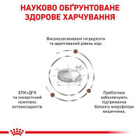 Royal Canin Hepatic HF26 Feline - Сухий корм для котів при захворюваннях печінки (2 кг) в E-ZOO фото №4 Royal Canin Hepatic HF26 Feline - Сухий корм для котів при захворюваннях печінки (2 кг) в E-ZOO