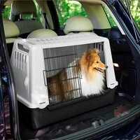 Ferplast (Ферпласт) Atlas Car Mini - Переноска для перевозки собак в автомобиле весом до 10 кг - Фото 10
