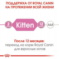 Royal Canin (Роял Канин) Kitten Instinctive - Консервированный корм для котят (кусочки в желе) - Фото 7