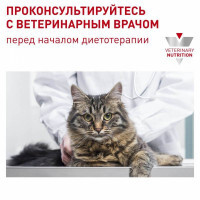 Royal Canin (Роял Канин) Neutered Maintenance - Консервированный корм для взрослых кошек с момента стерилизации до 7 лет (кусочки в соусе) - Фото 2