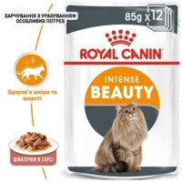 Royal Canin (Роял Канин) Intense Beauty - Консервированный корм для кошек для поддержания красоты шерсти (кусочки в соусе) (85 г) в E-ZOO