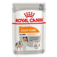 Royal Canin (Роял Канин) Coat Care Beauty Loaf - Консервированный корм для собак разных размеров с тусклой и жесткой шерстью (паштет) (12х85 г (box)) в E-ZOO