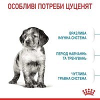 Royal Canin (Роял Канин) Medium Puppy - Сухой корм с мясом птицы для щенков собак средних пород - Фото 4