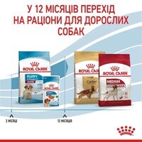 Royal Canin (Роял Канин) Medium Puppy - Сухой корм с мясом птицы для щенков собак средних пород - Фото 7