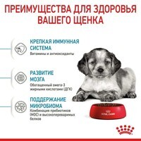 Royal Canin Medium Puppy - Сухой корм с мясом птицы для щенков собак средних пород (1 кг) в E-ZOO фото №5 Royal Canin Medium Puppy - Сухой корм с мясом птицы для щенков собак средних пород (1 кг) в E-ZOO