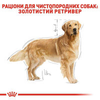 Royal Canin (Роял Канин) Golden Retriever 25 Adult - Сухой корм для взрослых Ретриверов - Фото 2