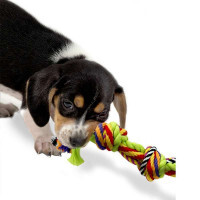 Petstages (Петстейджес) Multi Rope Chew - Игрушка для собак "Цветной канат с узлами" - Фото 5