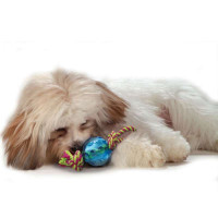 Petstages (Петстейджес) Mini Orka Ball with rope - Игрушка для собак "Орка мини мячик с канатиками" - Фото 2