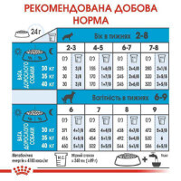 Royal Canin (Роял Канін) Maxi Starter Mother&Babydog - Сухий корм для цуценят і годуючих самок великих порід (4 кг) в E-ZOO фото №4 Royal Canin (Роял Канін) Maxi Starter Mother&Babydog - Сухий корм для цуценят і годуючих самок великих порід (4 кг) в E-ZOO