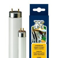 Ferplast (Ферпласт) TOPLIFE - Люминесцентная лампа для аквариумов с пресной и морской водой (Ø1,6 см / 28 см) в E-ZOO