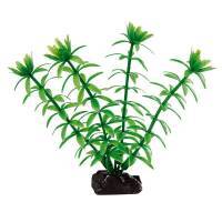 Ferplast (Ферпласт) Plastic plant Egeria - Пластикова декоративна рослина для акваріума (3,5х2х10 см) в E-ZOO