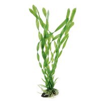 Ferplast (Ферпласт) Plastic plant Vallisneria - Пластикова декоративна рослина для акваріума (5,5х2,5х30 см) в E-ZOO
