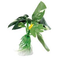 Ferplast (Ферпласт) Silk plant Anubias - Пластиковое декоративное растение для аквариума (3,5х2х10 см) в E-ZOO