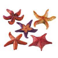 Ferplast (Ферпласт) Starfish Small - Декорация Звезда из полиуретана для аквариумов (1 шт.) в E-ZOO