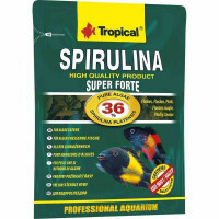 Tropical (Тропікал) Super Spirulina Forte - Рослинний пластівчастий корм з вмістом 36% спіруліни (12 г) в E-ZOO