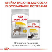 Royal Canin (Роял Канин) Maxi Dermacomfort - Сухой корм для собак с проблемной кожей - Фото 7