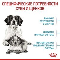Royal Canin (Роял Канин) Medium Starter Mother&Babydog - Сухой корм для самок и щенков до 2-х месяцев (1 кг) в E-ZOO фото №4 Royal Canin (Роял Канин) Medium Starter Mother&Babydog - Сухой корм для самок и щенков до 2-х месяцев (1 кг) в E-ZOO