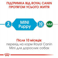 Royal Canin (Роял Канин) Mini Puppy - Сухой корм с мясом птицы для щенков мелких пород - Фото 4