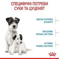 Royal Canin (Роял Канін) Mini Starter Mother&Babydog - Сухий корм для цуценят до 2-х місяців (8 кг) в E-ZOO фото №4 Royal Canin (Роял Канін) Mini Starter Mother&Babydog - Сухий корм для цуценят до 2-х місяців (8 кг) в E-ZOO