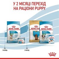 Royal Canin (Роял Канін) Mini Starter Mother&Babydog - Сухий корм для цуценят до 2-х місяців (8 кг) в E-ZOO фото №7 Royal Canin (Роял Канін) Mini Starter Mother&Babydog - Сухий корм для цуценят до 2-х місяців (8 кг) в E-ZOO