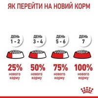 Royal Canin (Роял Канін) Mini Starter Mother&Babydog - Сухий корм для цуценят до 2-х місяців (8 кг) в E-ZOO фото №10 Royal Canin (Роял Канін) Mini Starter Mother&Babydog - Сухий корм для цуценят до 2-х місяців (8 кг) в E-ZOO