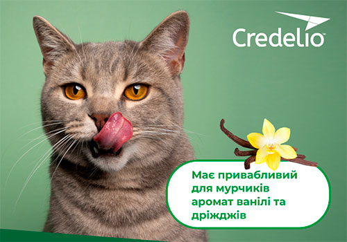 Как уберечь кота от блох и клещей? Узнайте больше о Кределио
