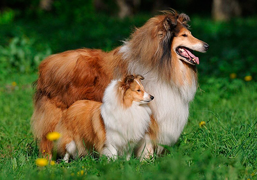 Аорнрдағы көшеде жалаңаш әйел.