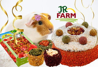 JR Farm: багатокомпонентні натуральні ласощі та корми найвищого класу