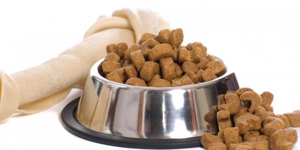 Как правильно выбрать корм для собак?