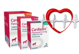 Препарат Кардишур (Cardisure): лечение сердечно-сосудистой системы собак