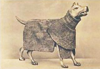 Хто і коли придумав одяг для собак