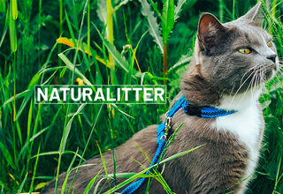 Naturalitter – идеальные наполнители для кошачьего туалета из натурального сырья