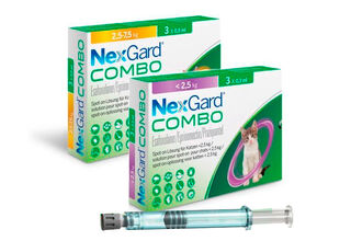 NexGard Combo – защита от блох, клещей и глистной инвазии в одной пипетке