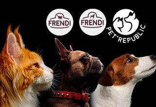 Польские бренды Pet Republic, Frendi – действительно мясные консервы для котов и собак