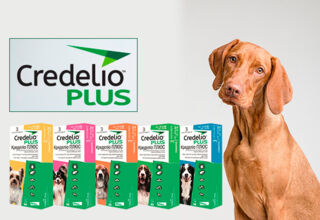 Протипаразитарний препарат широкого спектру дії для собак Credelio Plus – зустрічайте новинку!
