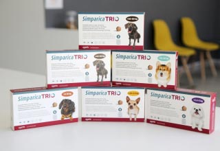 Simparica TRIO – інноваційний комплексний підхід до боротьби з паразитами різних видів у собак