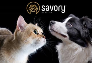 Сухий корм Savory для котів і собак - смак, що захоплює