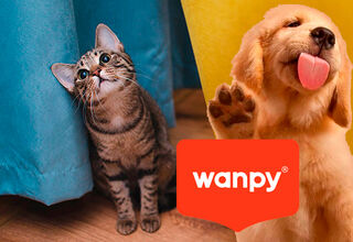 Wanpy – натуральні ласощі преміальної якості для собак та котів