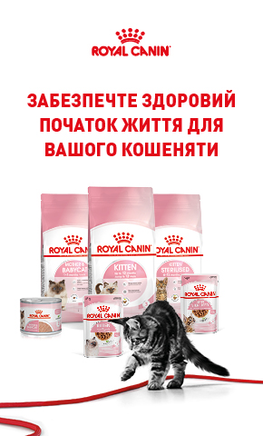 Royal Canin для котят