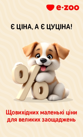 ЦуЦіна