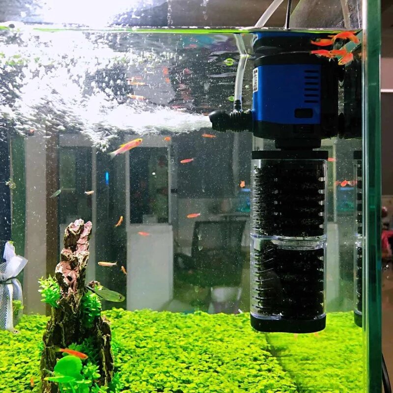 Як налаштувати роботу фільтра в акваріумі?