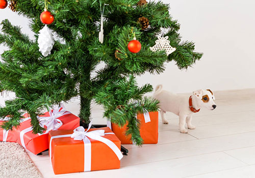 Подарки для собак на Новый год