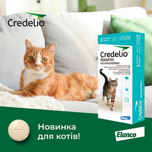 Новинка для захисту котів від паразитів - Кределіо